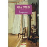 In asteptare, Mihai Zamfir