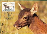 C171 - Italia 1991 - Fauna carte maxima