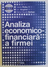 ANALIZA ECONOMICO - FINANCIARA A FIRMEI de VASILE ROBU ... ELENA - CLAUDIA SERBAN , 2014 foto