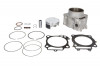 Cilindru Assy (450. 4t. Cu garnituri; cu piston) se potrivește: Honda TRX 450 2004-2005