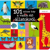 101 sz&iacute;nes k&eacute;p a vadon &eacute;lő &aacute;llatokr&oacute;l