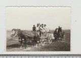 bnk foto Caruta cu cai pe camp - 1975