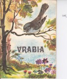 AS - Simion Florea Marian - Vrabia