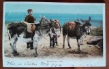 Carte postala, baiat cu trei catari, inceput de secol XX