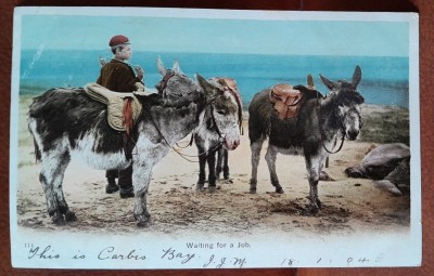 Carte postala, baiat cu trei catari, inceput de secol XX foto