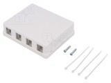 Carcasa RJ45 soclu Keystone albă murale mamă