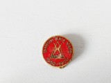 Insigna IMMUM Baia Mare 1950-1990, metal, 2cm diametru