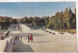 bnk cp Bucuresti - Vedere din parcul Libertatii - necirculata