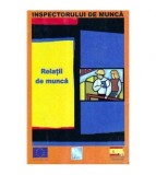 - Ghidul inspectorului de munca - Relatii de munca - 105798