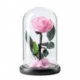 Cumpara ieftin Trandafir Criogenat roz bella &Oslash;8cm in cupola sticla 12x25cm