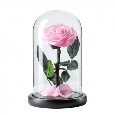 Trandafir Criogenat roz bella &amp;Oslash;8cm in cupola sticla 12x25cm foto