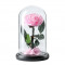 Trandafir Criogenat roz bella &Oslash;8cm in cupola sticla 12x25cm