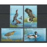 MOLDOVA 2021 FAUNA PASARI DE APA REZERVATIA BIOSFEREI PRUTUL DE JOS