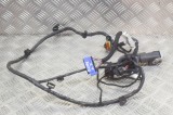 Cablaj ușă dreapta spate MASERATI QUATTROPORTE VI 2014 OEM: 06700075120 12215596