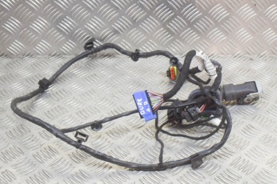 Cablaj ușă dreapta spate MASERATI QUATTROPORTE VI 2014 OEM: 06700075120 12215596 foto