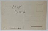 BUCURESTI , MUZEUL TH. AMAN, CARTE POSTALA ILUSTRATA , PERIOADA INTERBELICA