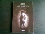 ENIGMA LA MANSARDA-RODICA OJOG-BRASOVEANU
