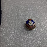 Insigna Minerul Petrosani