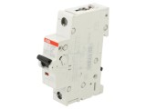 &Icirc;ntrerupător Supracurent ABB 1A 230VAC 220VDC 1 Poli 2CDS271061R0218
