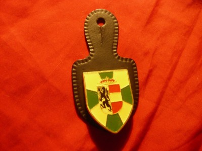 Insigna Militara NATO , metal si email , h= 4cm foto