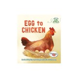 Egg to Chicken