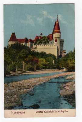 HUNEDOARA CASTELUL HUNIAZILOR EDITURA N TINTEA foto
