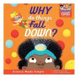 Why Do Things Fall Down?