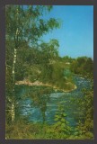 CPIB 23695 CARTE POSTALA - VALEA TROTUSULUI, NECIRCULATA