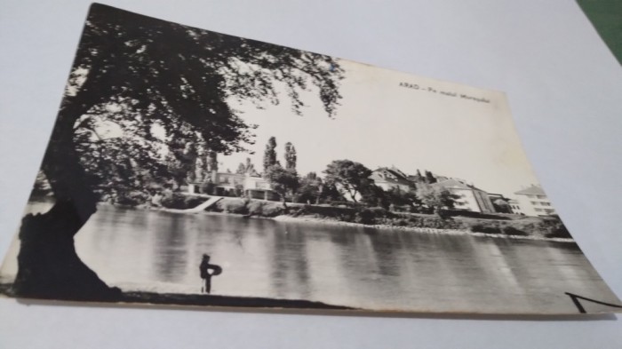 CARTE POSTALA ARAD -PR MALUL MURESULUI CIRCULATA