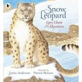 Snow Leopard Grey Ghost of the Mountain