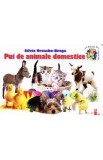 Pui de animale domestice - Silvia Ursache-Brega
