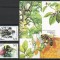 Belarus 2004 Mi 549/50 + bl 39 MNH - Insecte utile, albine