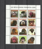 SURINAM 2009 FAUNA MAIMUTE