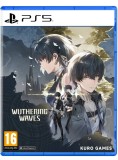 Wuthering Waves Deluxe Collection