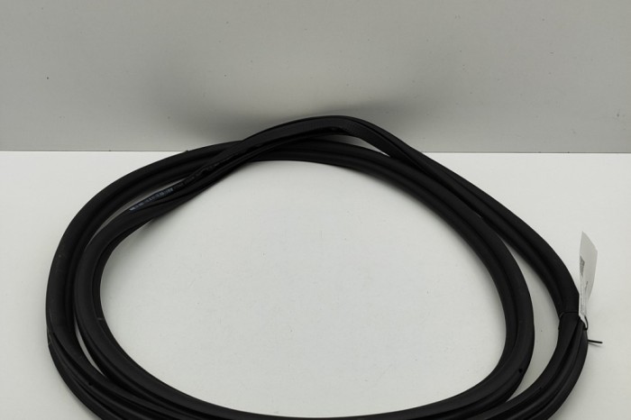 Garnitura ușă dreapta față BMW 5 G60 2025 OEM: 5A05896 | 31533306