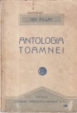 Ion Pillat - Antologia toamnei (Antologie) - 1921, 224 pagini, 13x20 cm, romana, coperta brosata