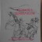 RAZBOIUL ROMANILOR. INSEMNARI SI DOCUMENTE DIN PRIMA CONFLAGRATIE MONDIALA-N.P. COMNENE-111368