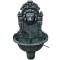 vidaXL F&acirc;nt&acirc;nă de perete cu design cap de leu 40538