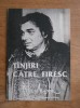 Nichita Stanescu - Tinjiri catre firesc, 1991