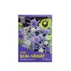 Ceai Scai Vanat 80gr Hypericum, Hypericum Plant