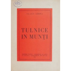 Tulnice in munti - Vlaicu Barna