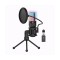 Microfon profesional cu condensator MIC60, trepied, USB, RGB