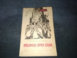 Cumpara ieftin IRIMIE STRAUT - DRUMUL SPRE ZIUA