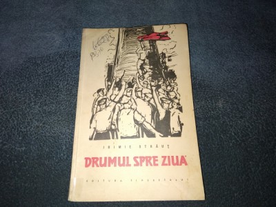 IRIMIE STRAUT - DRUMUL SPRE ZIUA foto