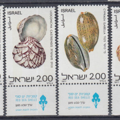 ISRAEL 1977 FAUNA MARINA DIN MAREA ROSIE SCOICI SERIE CU TABS MNH