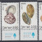 ISRAEL 1977 FAUNA MARINA DIN MAREA ROSIE SCOICI SERIE CU TABS MNH