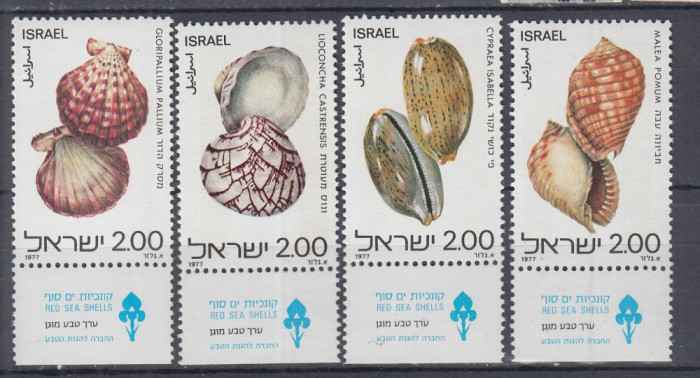 ISRAEL 1977 FAUNA MARINA DIN MAREA ROSIE SCOICI SERIE CU TABS MNH