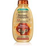 Garnier Botanic Therapy șampon fortifiant pentru păr deteriorat 250 ml