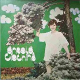 Disc vinil, LP. DESCHIDE FEREASTRA. DESTIN DE TRANDAFIRI. DRUMURI PARALELE, ETC.-ANGELA CIOCHINA-239136