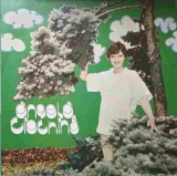 Disc vinil, LP. DESCHIDE FEREASTRA. DESTIN DE TRANDAFIRI. DRUMURI PARALELE, ETC.-ANGELA CIOCHINA, Rock and Roll